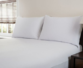Защита от клопов/водонепроницаемая подушка